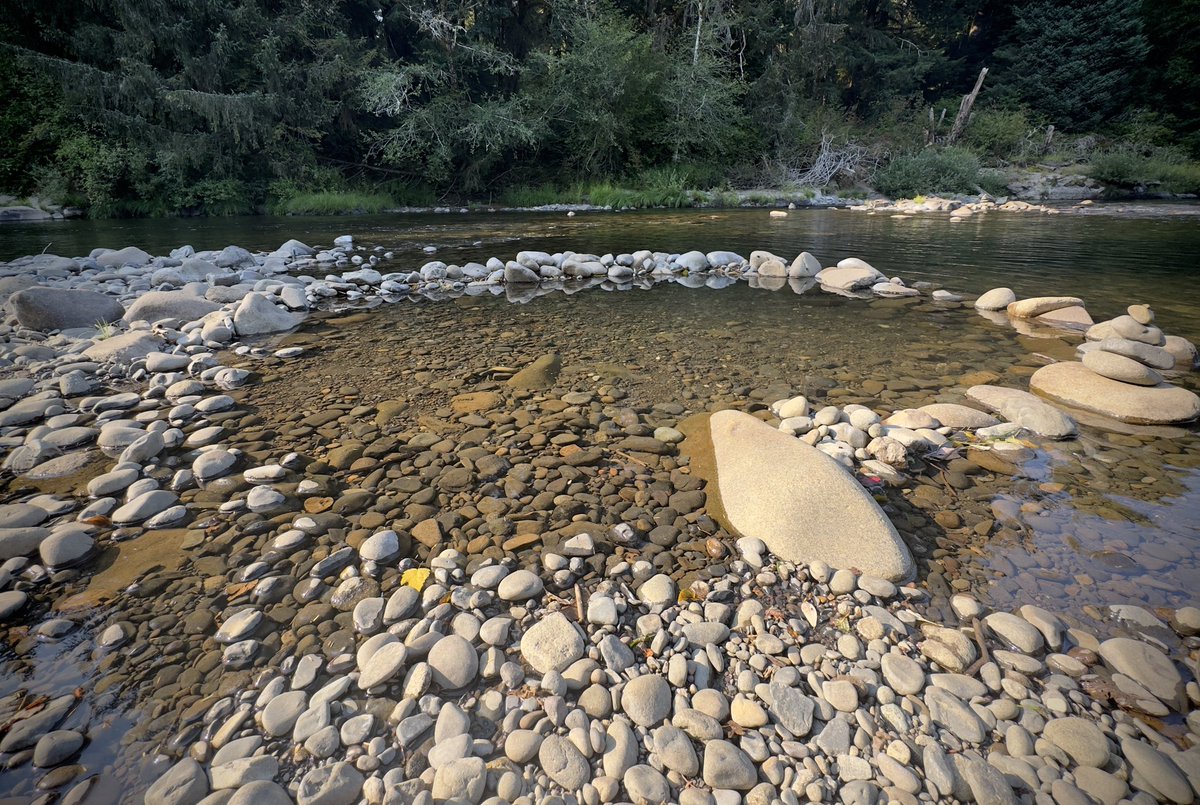 HawkSickToxic's tweet photo. Every canvas should have meaningโpurpose
#Photography #Photo #River #Creek #Rapids #Intertube #Rocks #RockFormation #Cairns #BuildingCairns #RockBalancing #Balance #FindBalance #HeapOfStones #Stones #Water #Forest #Sun #Reflection #BeerCooler #GetsItsOwnIntertube https://t.co/YwD7MbGd1w