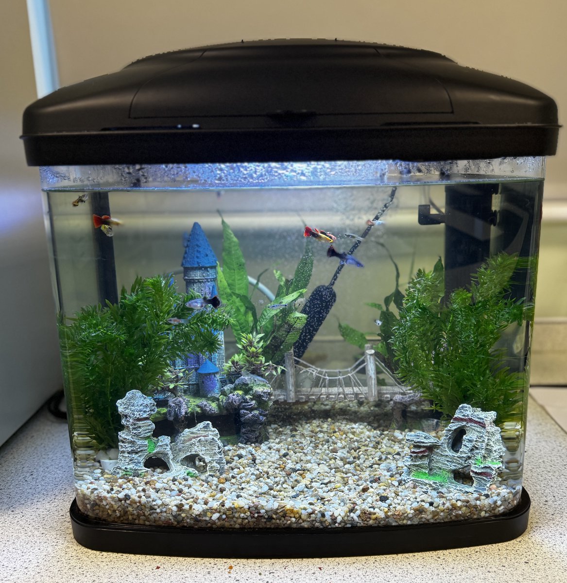 Engineering UTC Northern Lincolnshire tweet media