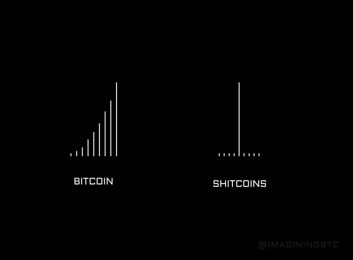 Bitcoin Magazine tweet media