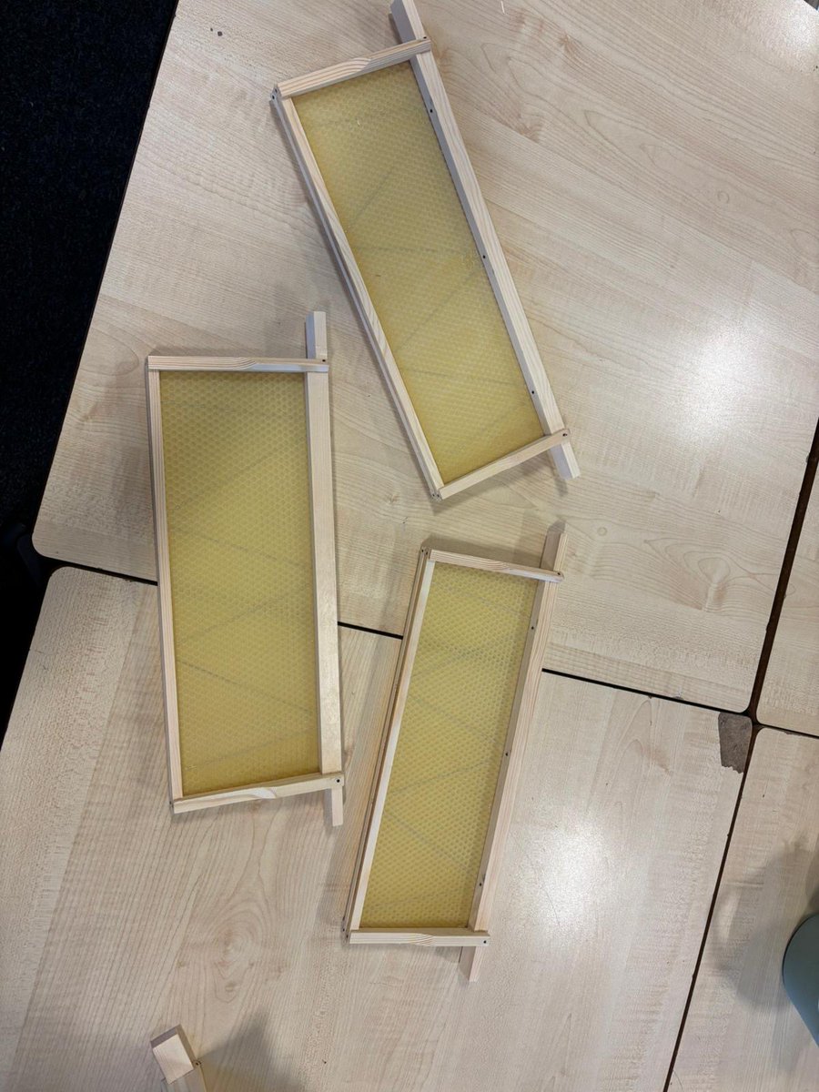 WilliamwoodHS's tweet image. 🐝Our beekeepers have been busy bees today! As part of their outcome 1 they need to build frames for a beehive. What a great job they have done building frames for a super!!🐝🍯🐝 #WWHSScience #UNCRCRight29