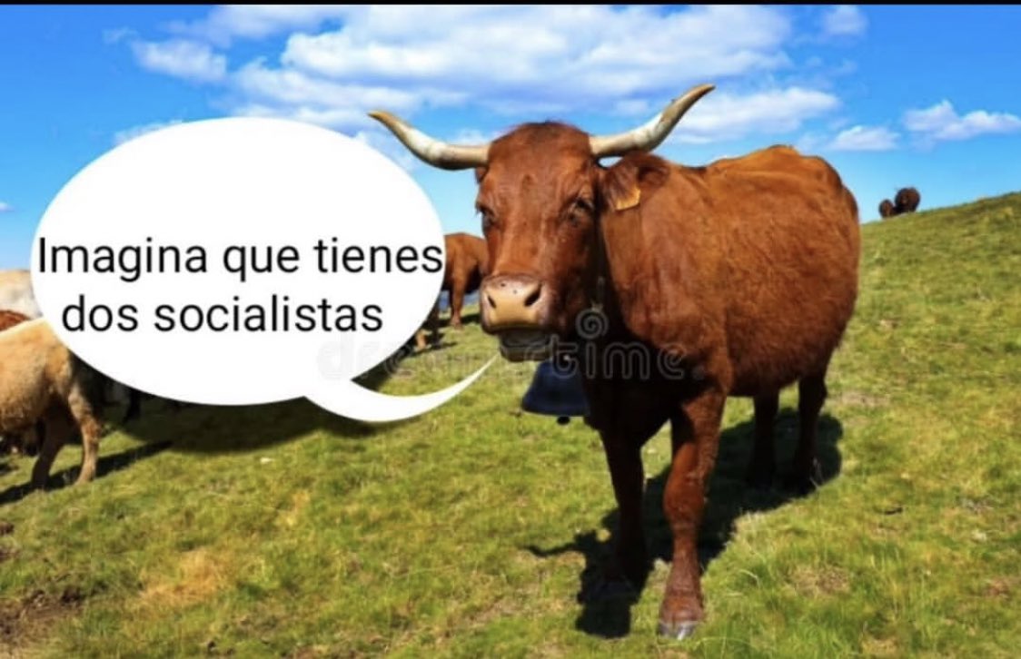 🫡🚩 tweet media