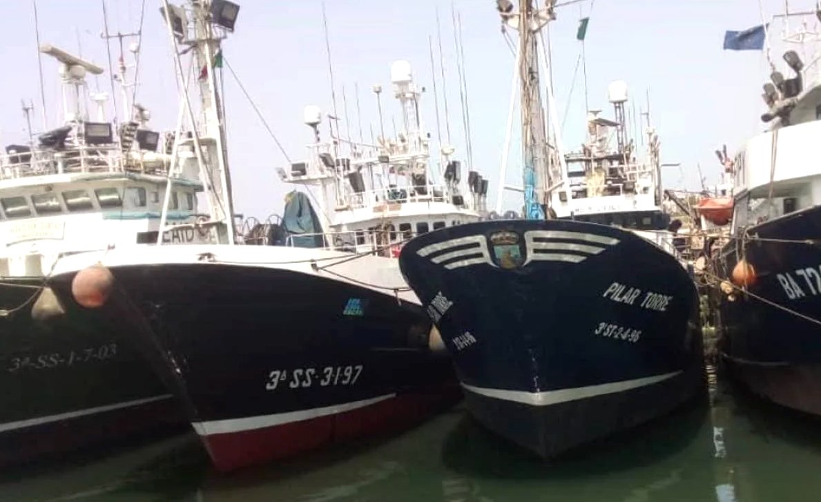 Gobierno vasco y Ministerio buscarán este lunes una solución para los atuneros en Senegal. Si quieres leer la noticia completa, link en biografía: rutapesquera.com/gobierno-vasco… o bien en: rutapesquera.com

#rutapesquera #rutanaval #revistarutapesquera