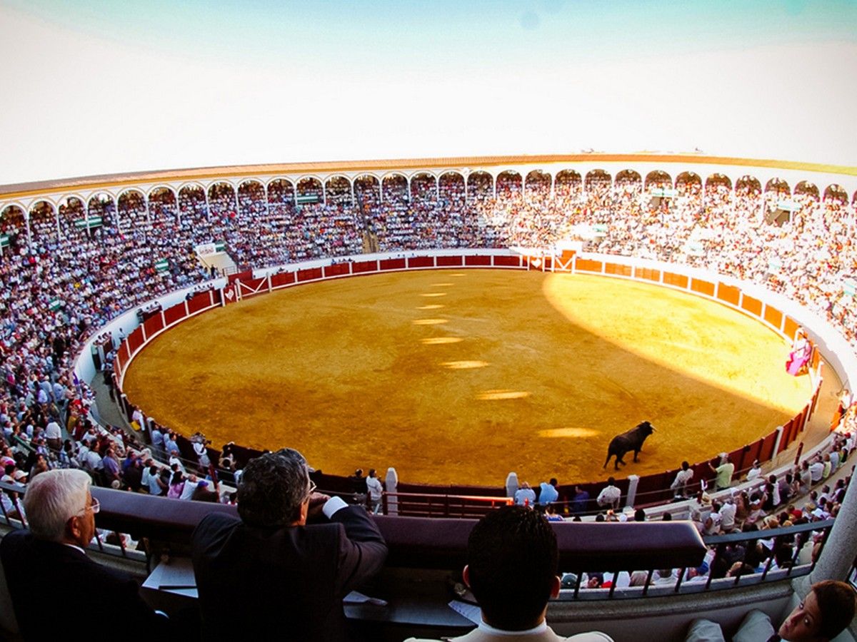 📝 ACTUALIDAD

👉 Extraordinaria Corrida de Primavera en Pozoblanco
chicuelinasytafalleras.com/actualidad/ext… <a href="/astigio/">Pepe Luis Vargas</a> <a href="/mariocorvi/">mario cortes villena</a> <a href="/JoseElchusco/">jose javier cortes</a> <a href="/escrifuentes/">Jorge Fuentes</a> <a href="/lancesdefuturo/">Lances de Futuro</a> <a href="/SanchezAraujo1/">Sanchez Araujo</a>