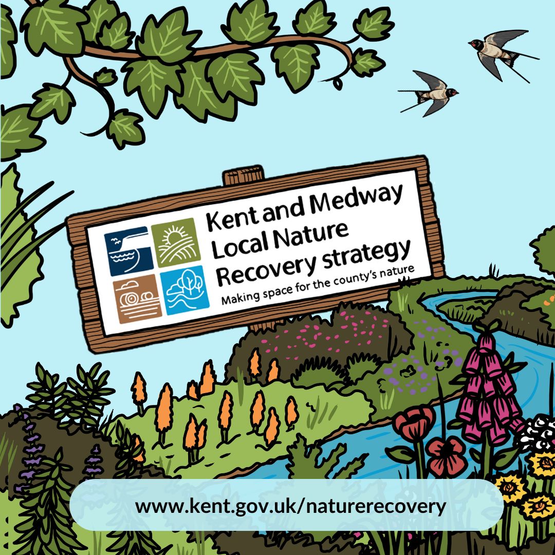greener_kent's tweet photo. Kent and Medway's Local Nature Recovery Strategy is now live for public consultation! You can read the document in full and share what you think at https://t.co/oKdhDf5ETT
#ms4n #lnrs #kentlnrs #naturerecovery
Image credit: Making Space for Nature https://t.co/8gnoFJ4Aql