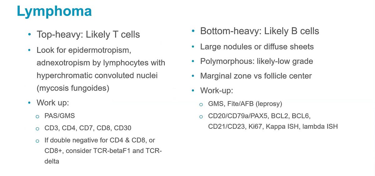 #JobPrepBootcamp
Lymphoma-skin
Top heavy: Likely T-cells
Bottom heavy: Likely B-cells
Work-up (see pic below)

Dr. Nagarajan #PathX #PathTwitter #pathology