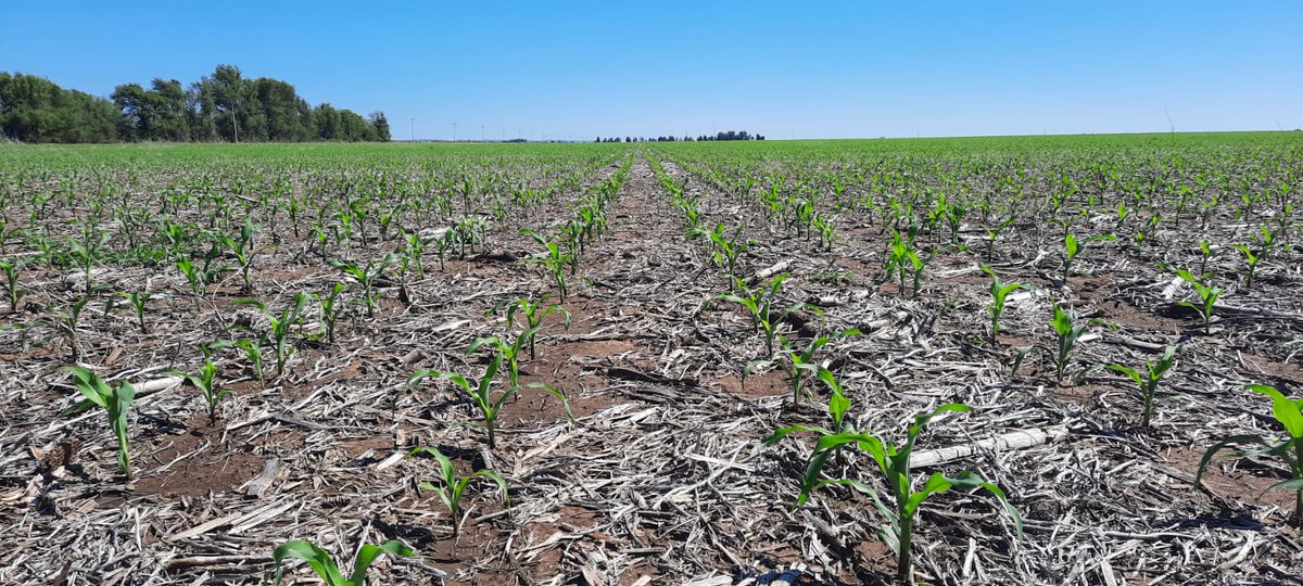 LER2024/SERAGRO/DK-46

Siempre al lado del productor. Junto a #dekalb lo acompañamos en el verano 💯💪🏾🌽