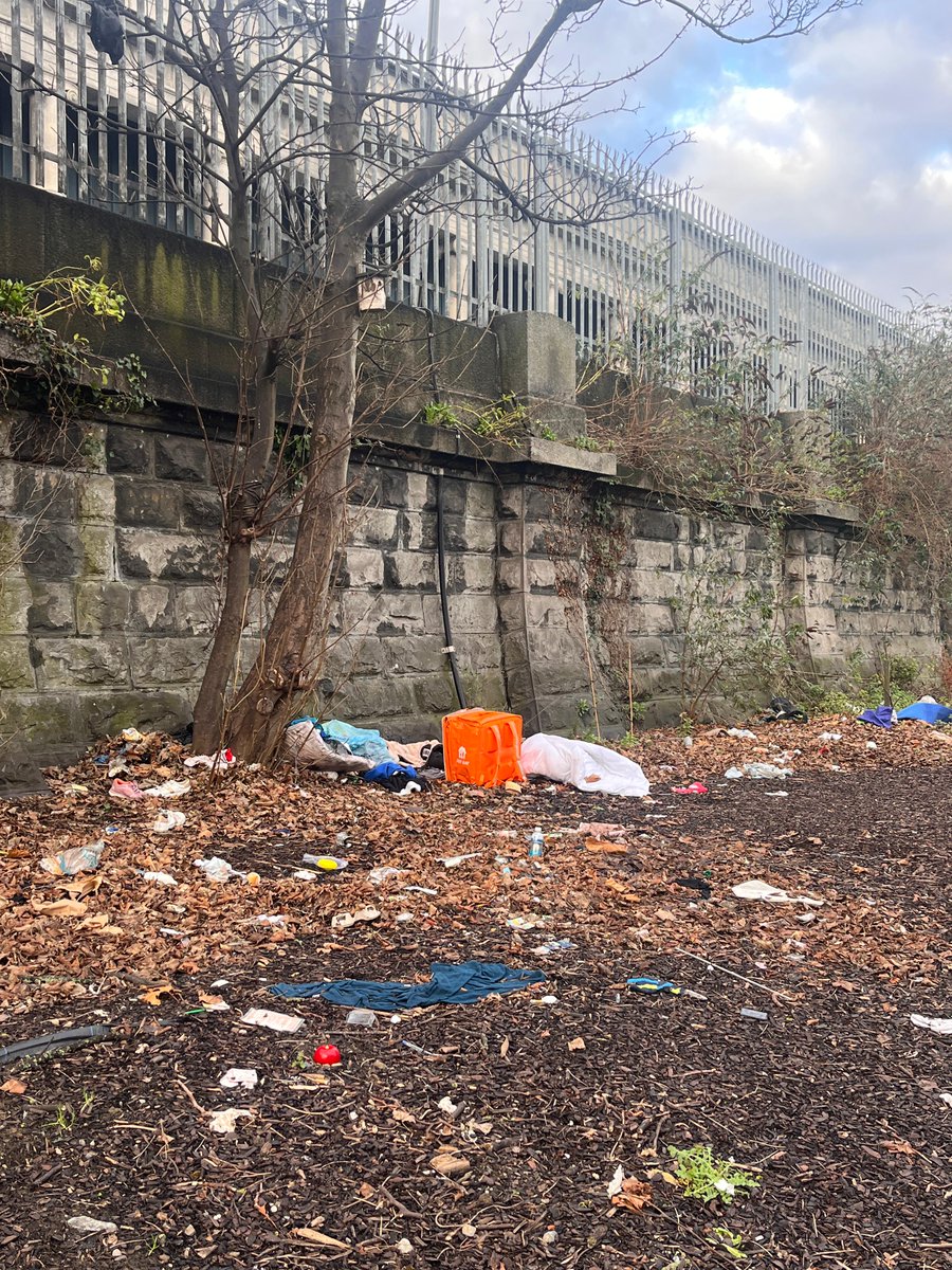 Rob McGrath tweet media