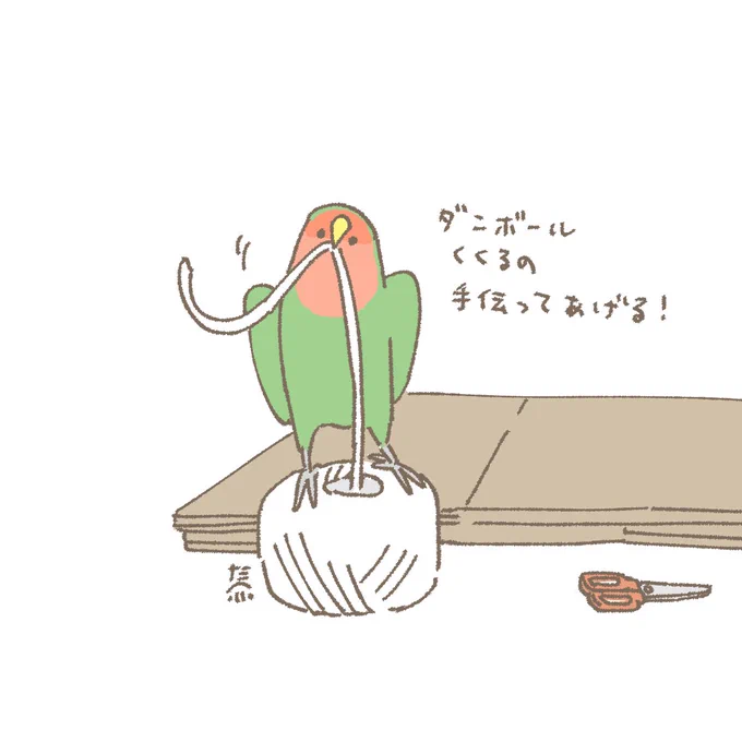 おはようございます☀️
お手伝いしたい1月23日(木)の朝です。
絶対散らかすだけのやつ
#コザクラインコ 