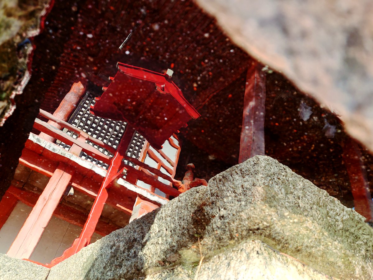 りんたろ@リハビリ中 (@rintaro_sano) on Twitter photo 