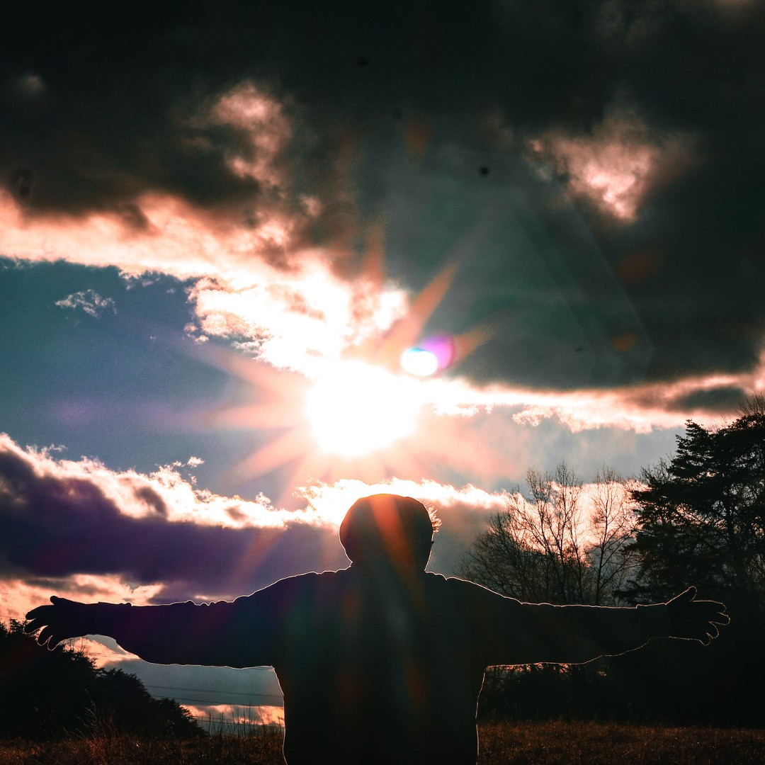 fairfaxparks's tweet photo. “If you can’t fly, then run, if you can’t run then walk, if you can’t walk then crawl, but whatever you do, you have to keep moving forward.” - Martin Luther King, Jr.
📸: D. Menon
#mlkday #firsthike #fairfaxparks https://t.co/avbB8cEKQU