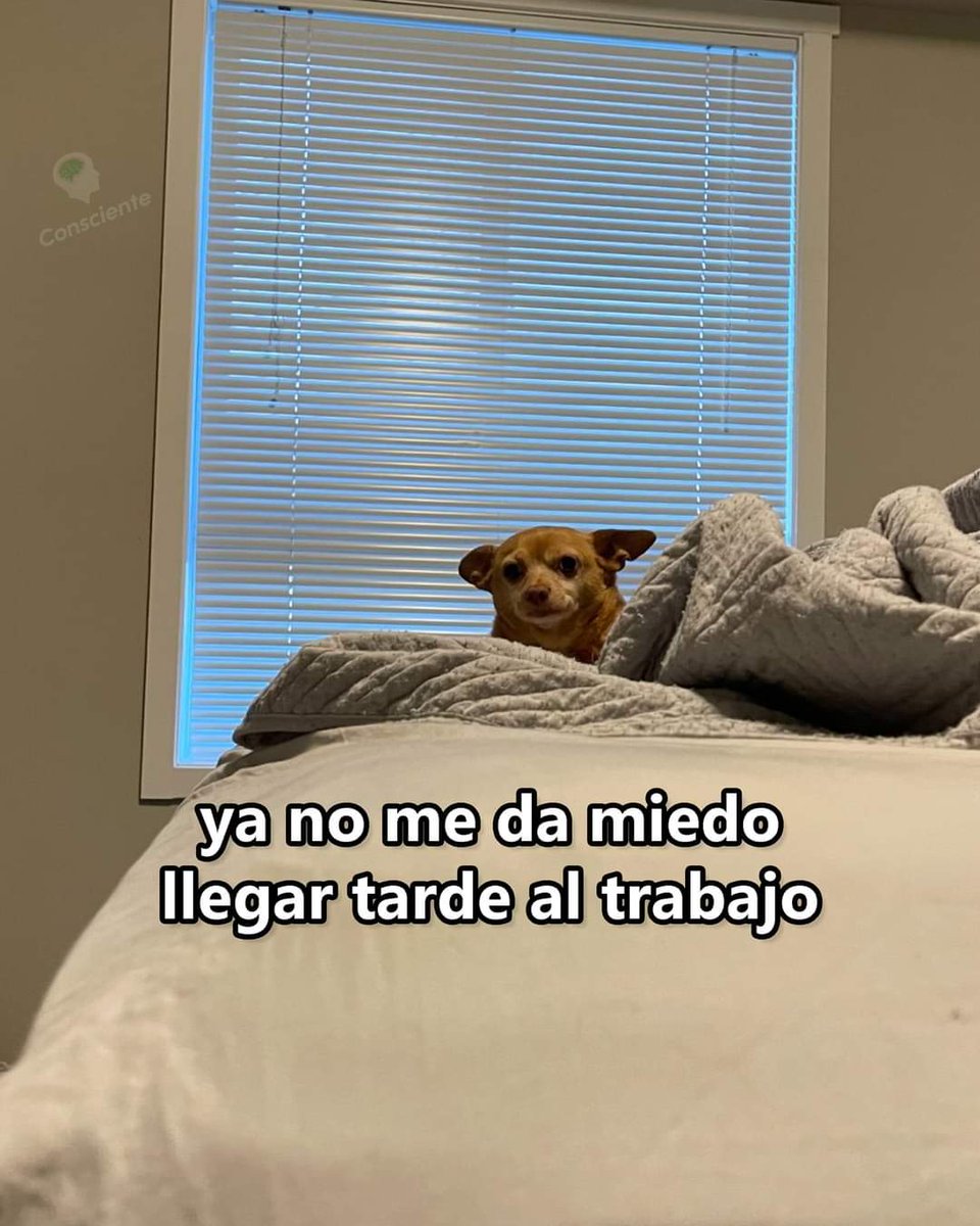 En Júpiter (@en_jupiter_) on Twitter photo 