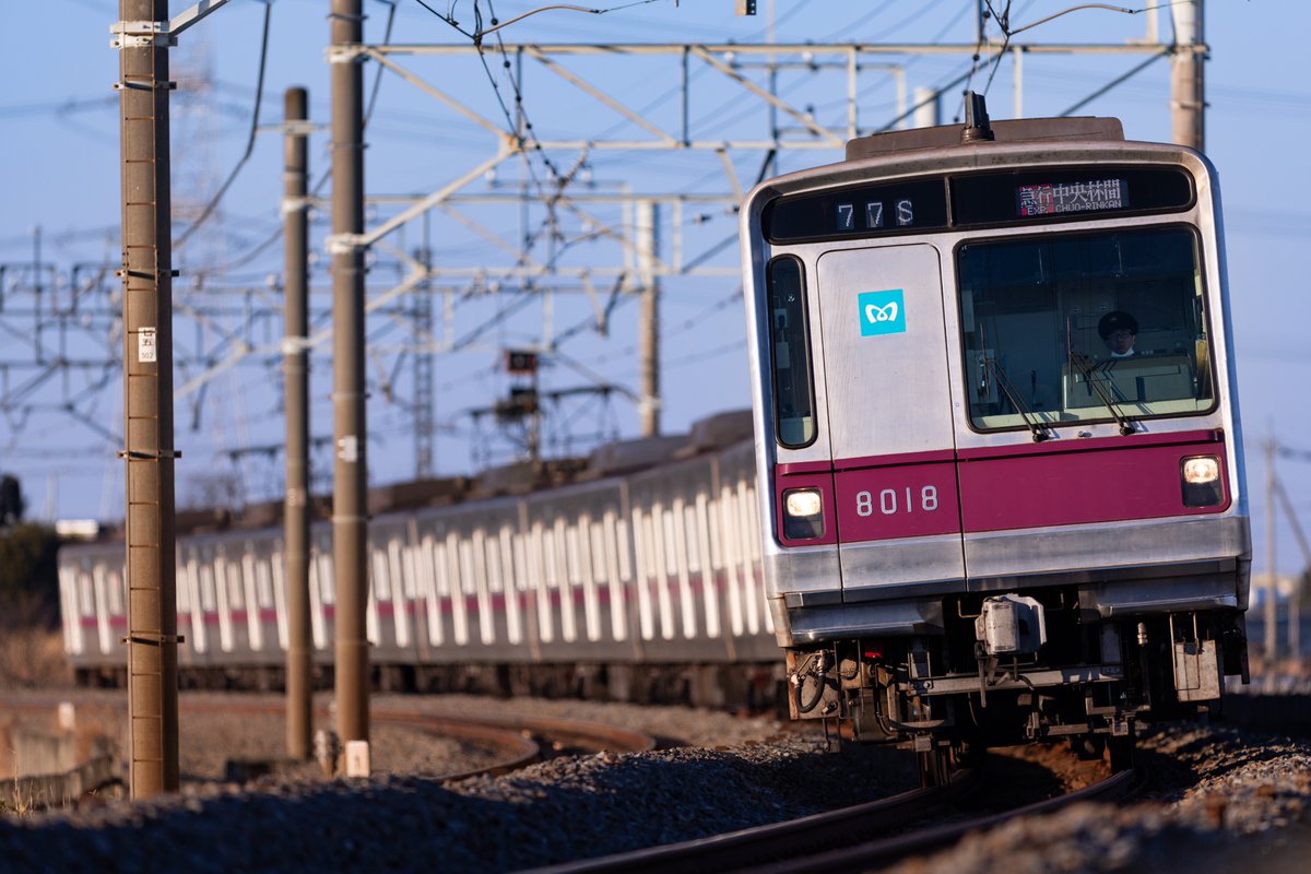 shintawings's tweet photo. この冬は晴れの多い関東地方、陽がのびてきて南栗橋カーブも16時台前半までは撮れるようになりました。 https://t.co/QfgPLkH26A