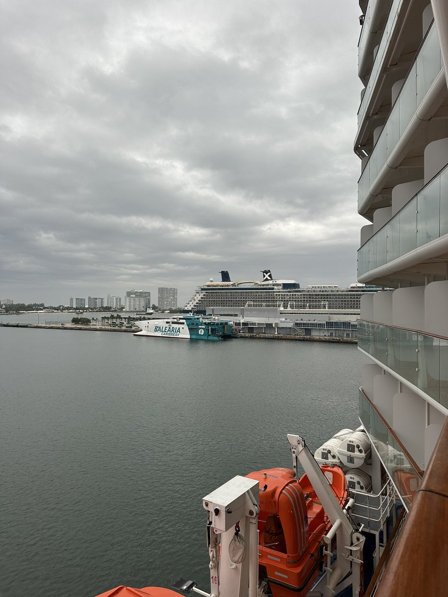 LifeWellCruised tweet media