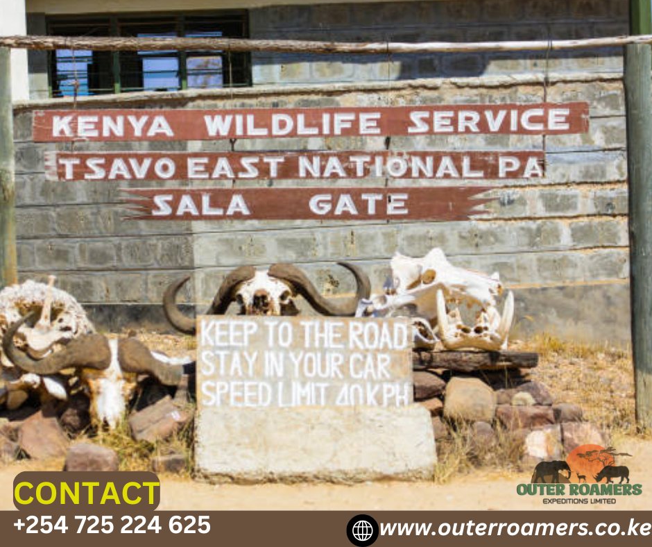 OUTER ROAMERS EXPEDITIONS LIMITED tweet media