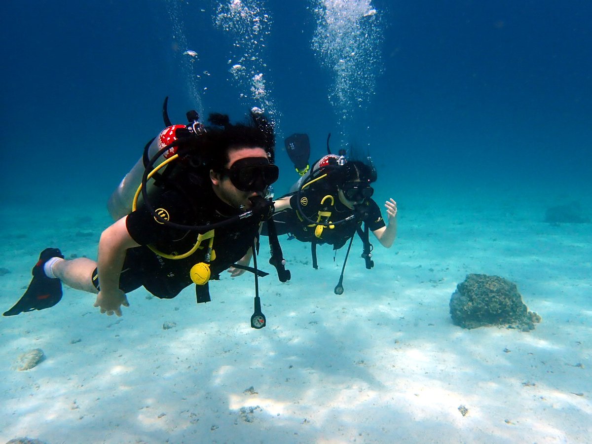 今日のプーケットのラチャヤイ島。青い海と白い砂がキラキラしてきれいですよね。写真のお二人は、実は体験ダイバー。あまりにきれいに並んで泳いでいたので、シャッターを押してしまいました。透明度の良い海の様子はブログで
greendiverphuket.com/2025/01/19/1-1…
#プーケット #ダイビング #phuket #diving