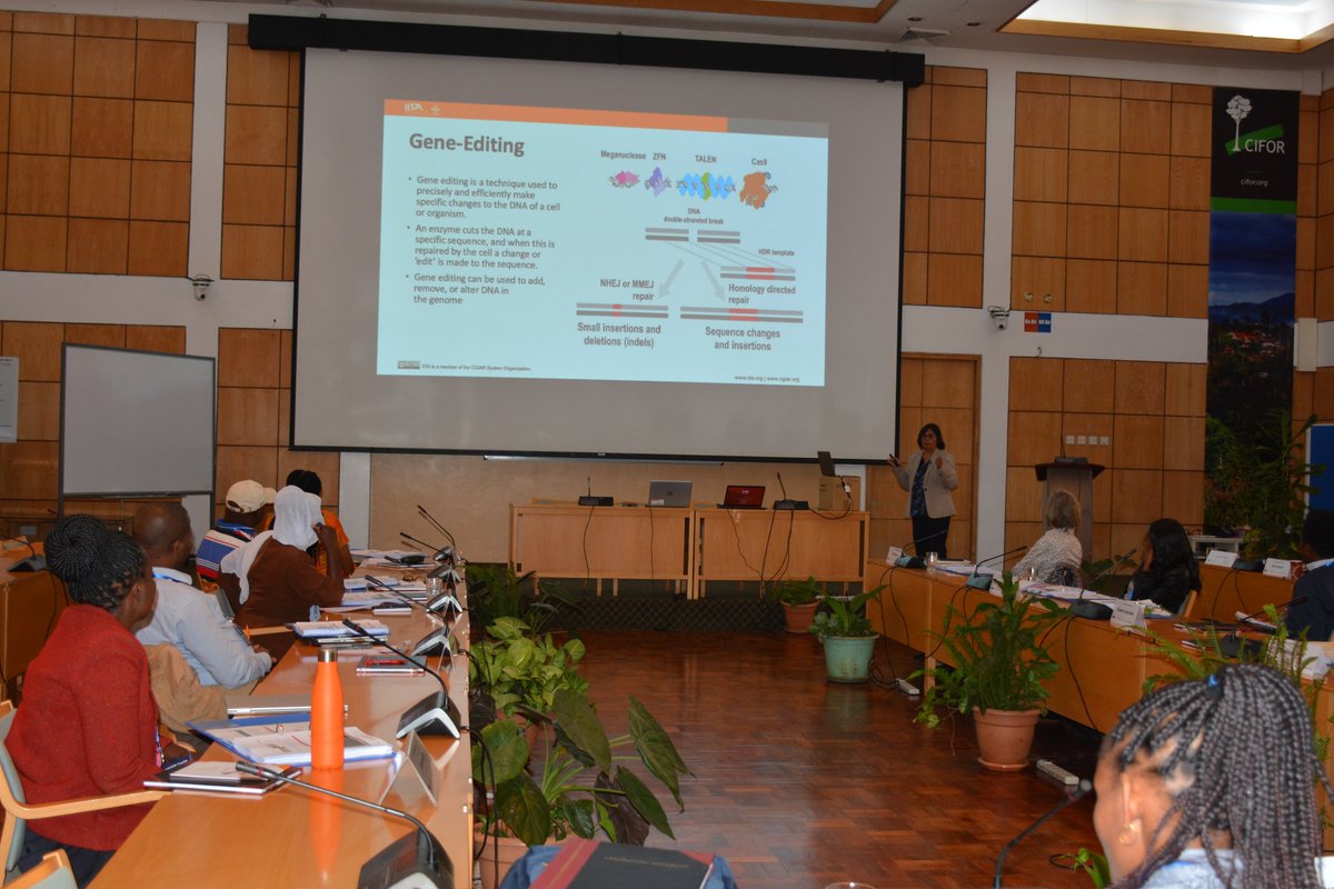 IITA_CGIAR's tweet image. The #CRISPR Class III Course is underway in Nairobi! 🥳🥳🧬🔬
This isn’t just a training—it’s a movement.
African scientists are coming together to reshape agriculture, tackle food security, and build a resilient future for the continent. 
.
#CRISPR #GenomeEditing #AfricanScience