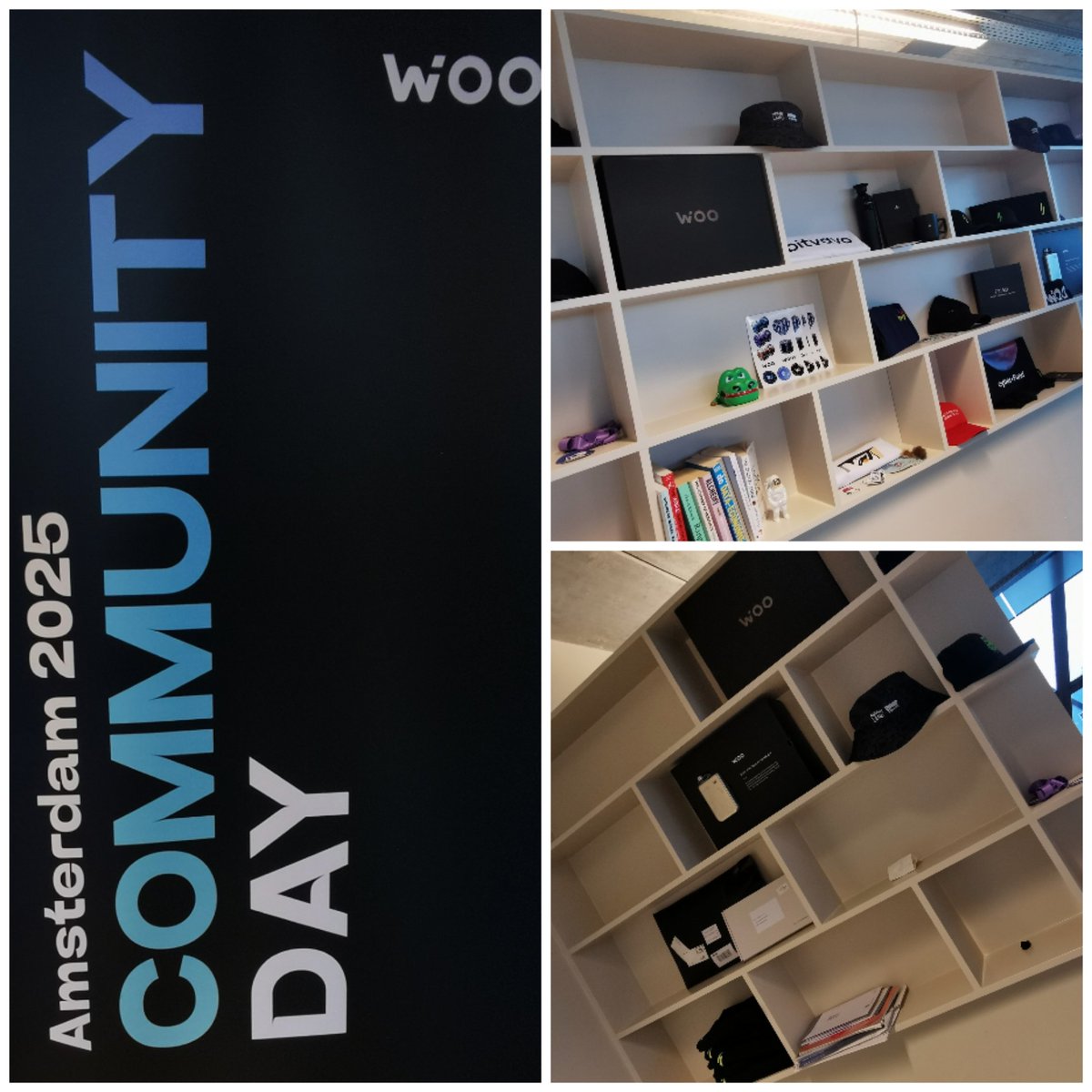 Sigma_Paul tweet media