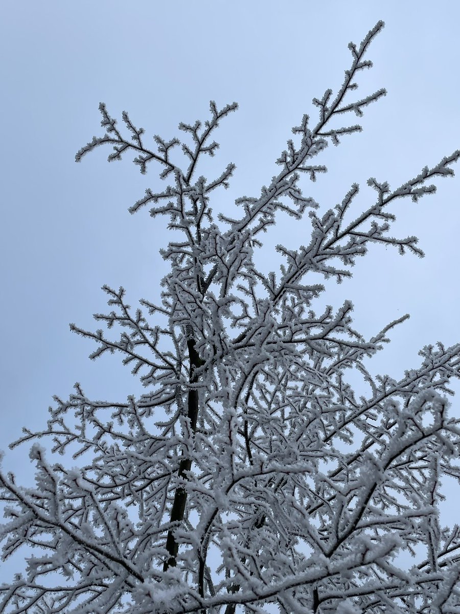 Miss_Trauisch (@miss__trauisch) on Twitter photo 