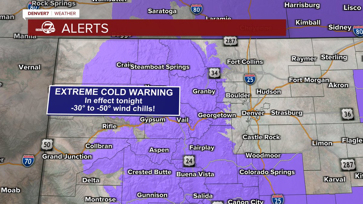 lisa hidalgo tweet media