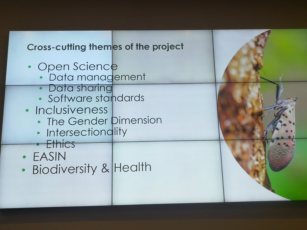 European Alien Species Information Network - EASIN (@eu_aliens) on Twitter photo Helen Roy and Quentin Groom illustrate #OneStop project objectives at kick off JRC Ispra today. Following Open Science principles, the project aims at increasing people's motivation encouraging participation in #InvasiveAlienaSpecies management and  biodiversity protection. Helen Roy and Quentin Groom illustrate #OneStop project objectives at kick off JRC Ispra today. Following Open Science principles, the project aims at increasing people's motivation encouraging participation in #InvasiveAlienaSpecies management and  biodiversity protection.