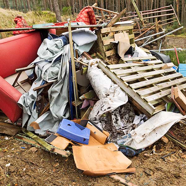JunkDisappear's tweet image. 🗑️ Clutter taking over? We’ve got you covered!
✅ Affordable Junk Removal Services in Cleveland, Ohio.

🏡 From furniture to hoarder cleanouts – we handle it all
📞 FREE estimates: (insert phone number)
👉 junkdisappear.com

#ClevelandJunkRemoval #DeclutterToday #Affordable