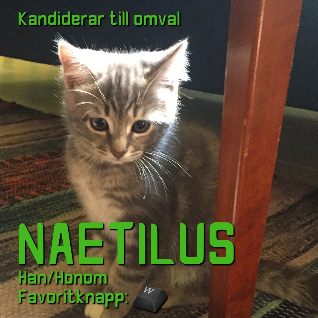 Onlineföreningen SGC tweet media