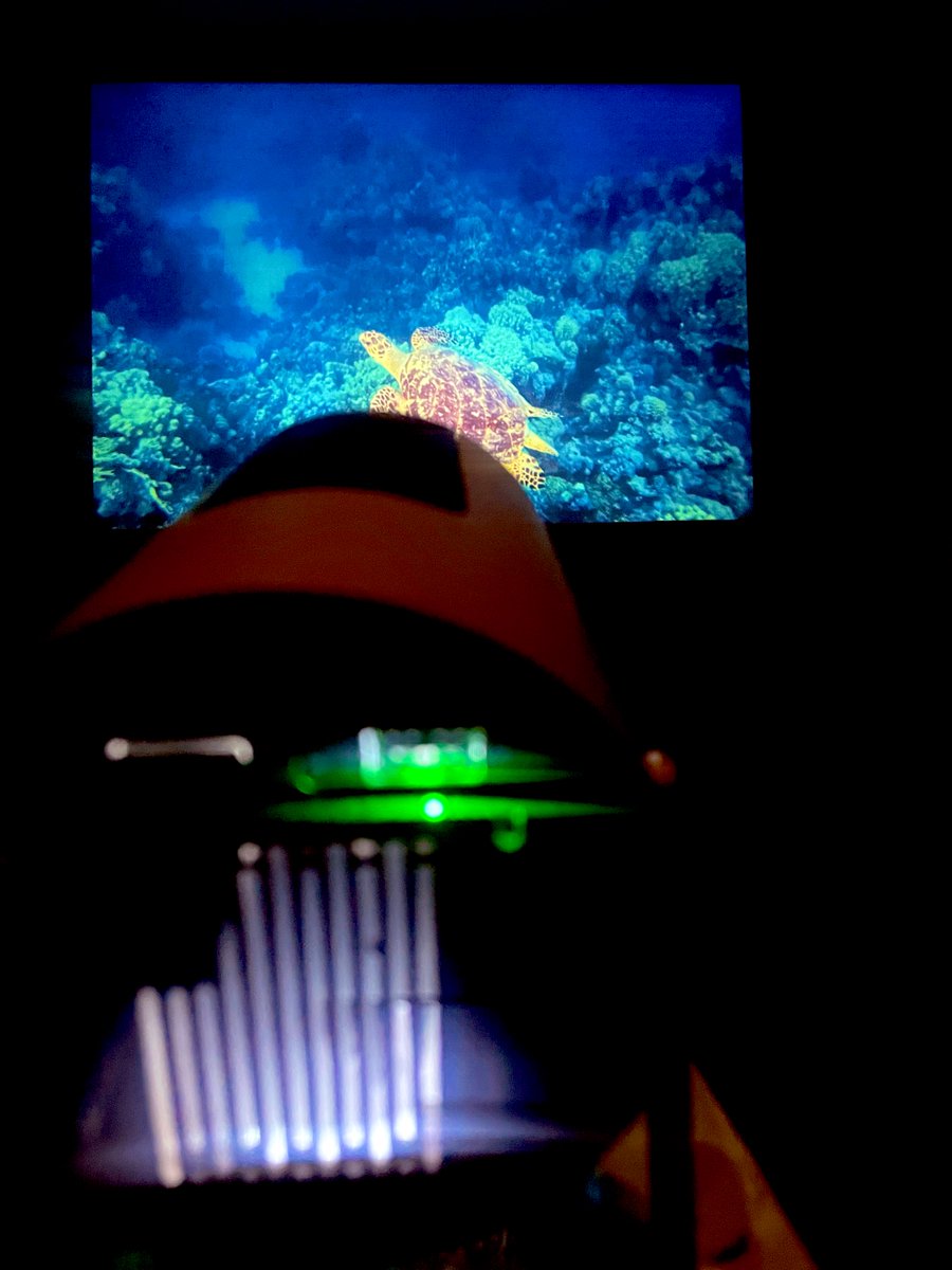 家庭用プロジェクターを
最近購入してQOLが
間違いなく向上してる...

気がする...

おすすめです。