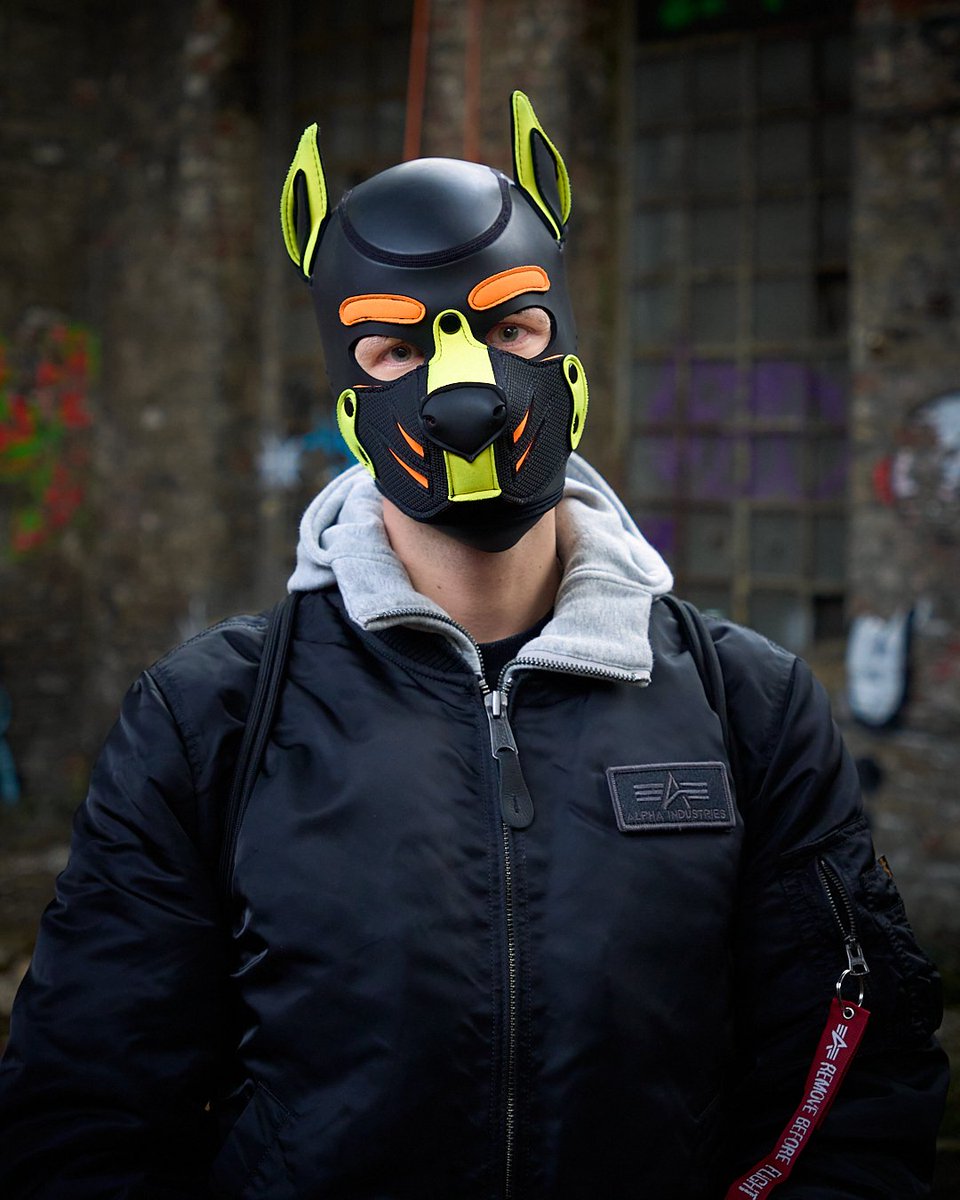 Pup Twizz tweet media
