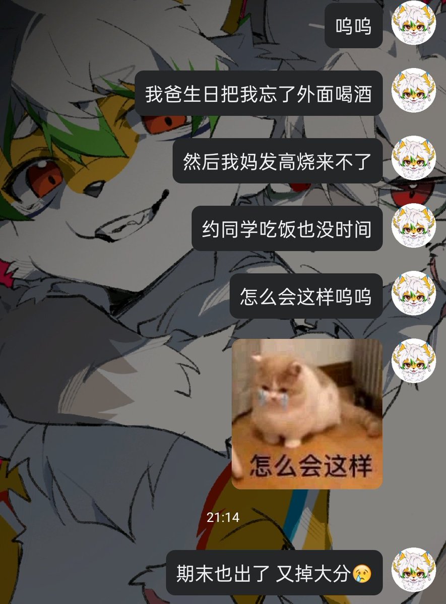 不上211历史专业就复读😐 tweet media