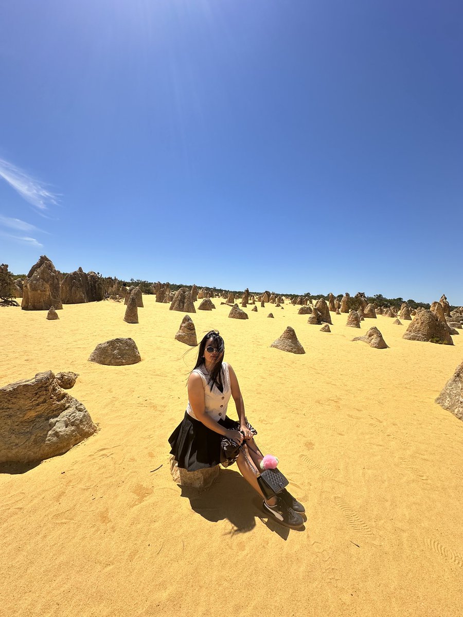 leahgoonthings's tweet image. just landed on another planet #pinnacles