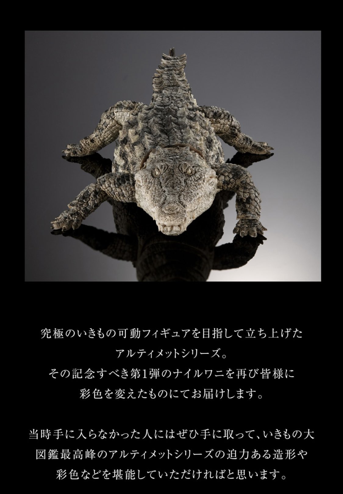 いきもの大図鑑ナイルライトカラー 40cm いきもの大図鑑アルティメット ナイルワニ（ライトカラー