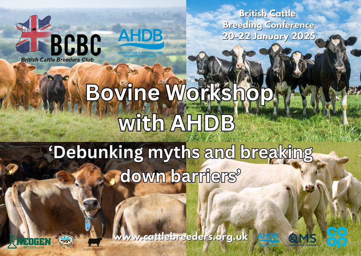 CattleBreeders's tweet photo. Kicking off #BCBC25 today with the Bovine Workshop - Debunking myths and breaking down barriers #AHDB Despite the huge potential benefits of genetic tools for cattle breeding, uptake is still underutilised. How do we address the common misconceptions about genetics and genomics? https://t.co/9IxzH8abHK