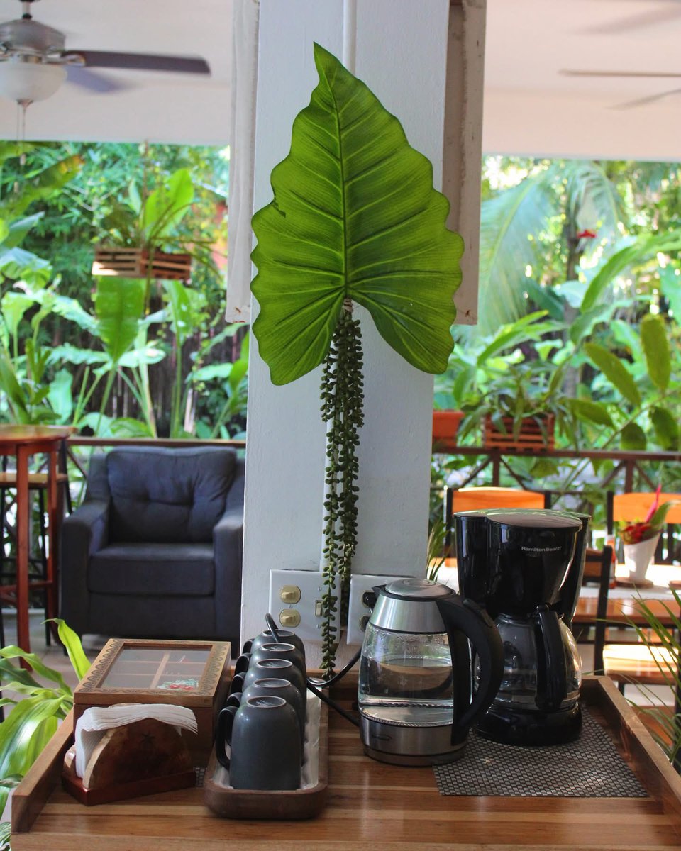 villamassis's tweet image. ❄️ Snowflakes are cute, but sunshine is way better! 🌴Start your mornings at our coffee ☕️ station and then take a stroll through our lush trails onsite. Ready to turn your winter slump into a sunny splash? 🌞 .
.
.
.
.
#ByeWinter #BelizeTravel #VillaMassis