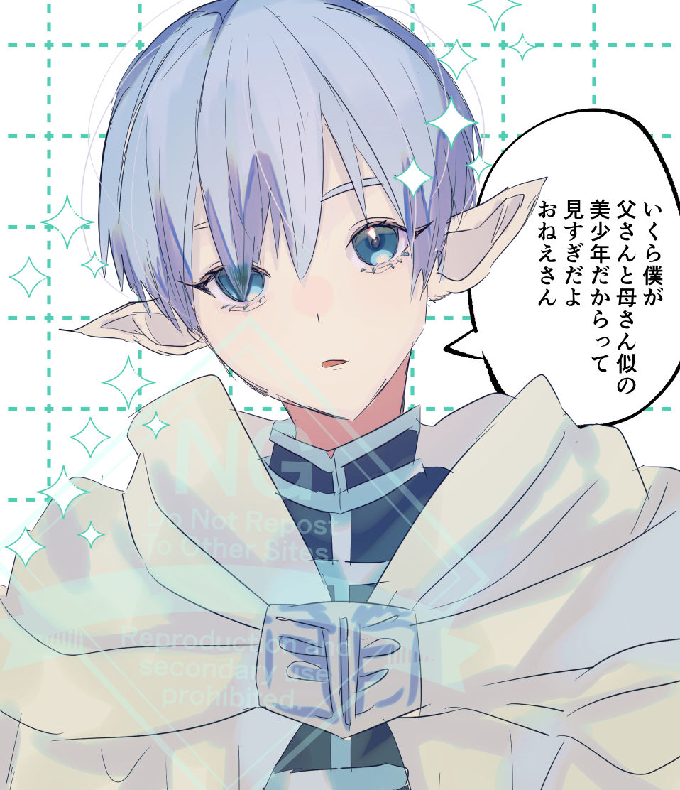 概念ヒンフリ
息子(捏造) 