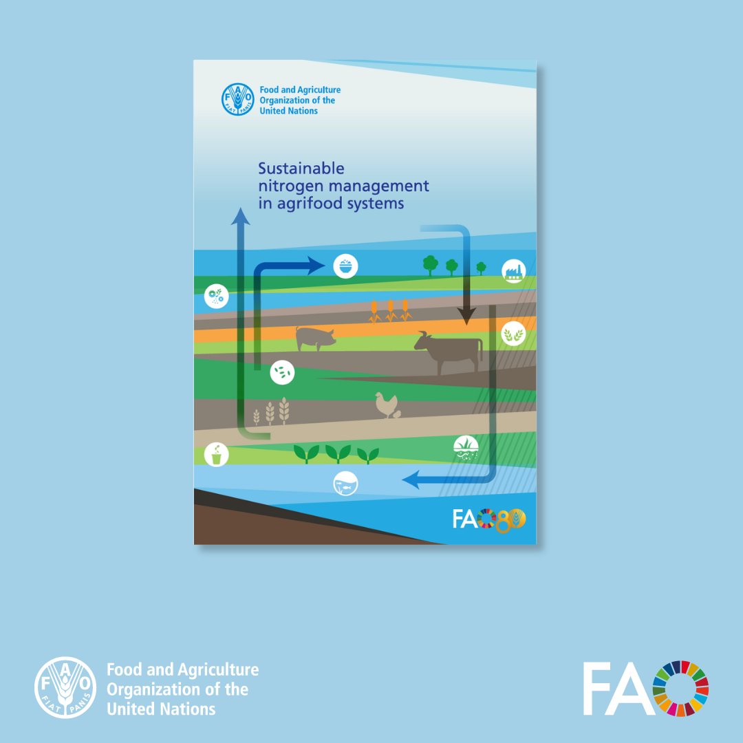 FAOKnowledge's tweet photo. Sustainable nitrogen management is key to balancing food production &amp; environmental health.

This @FAO report explores solutions to improve nitrogen use efficiency, reduce pollution &amp; promote circular bioeconomy approaches in agrifood systems.

Read more🔗 https://t.co/W5sgMHA9BJ https://t.co/I3py7az55f