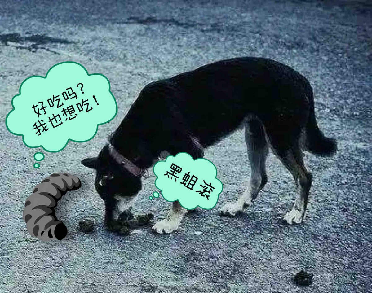 CiCiGOGOO's tweet photo. @_TerraNomad @MuracoSmart 黑蛆老实的吃💩不好吗？到处跳脚再被谁踩着 https://t.co/QnhLM9Z6jH