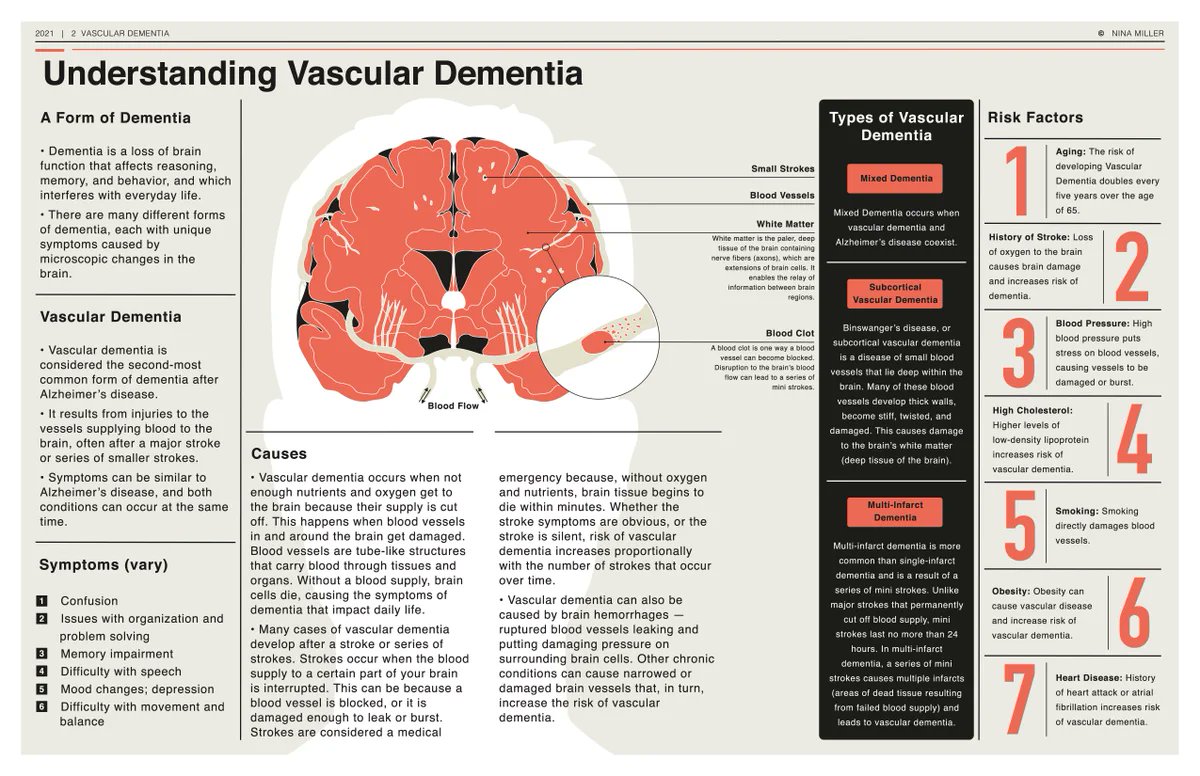 LEAD_Coalition's tweet photo. What Is Vascular #Dementia? https://t.co/jLiz3OdGNM by @NIHAging
#VCID #Alzheimers #neurology #MedTwitter https://t.co/5gk8tkwiOB
