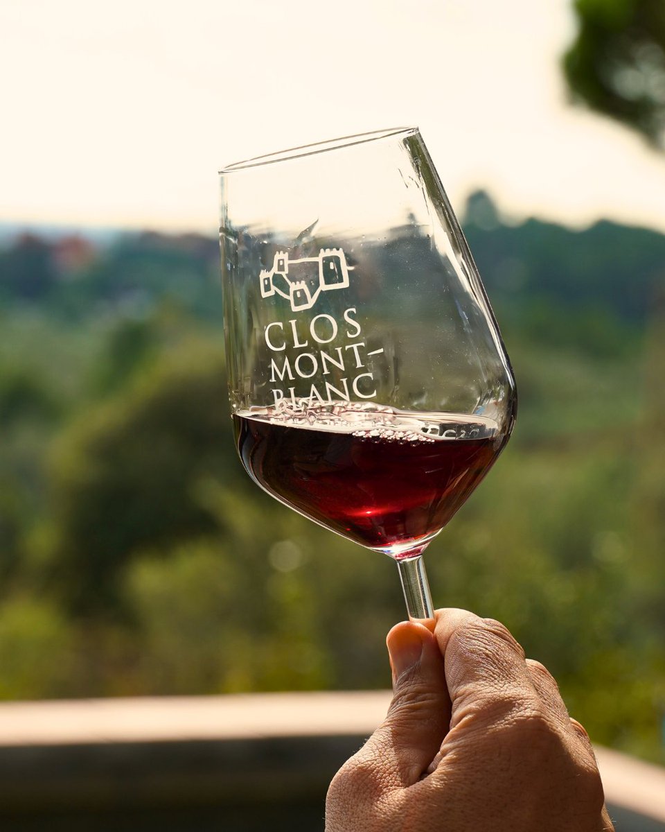 Tot comença amb un gest, una vinya, un gotim... 🍇 El final? Una copa plena de vida. 🍷✨

Todo empieza con un gesto, una viña, un racimo... 🍇 ¿El final? Una copa llena de vida. 🍷✨

It all starts with a gesture, a vineyard, a cluster... 🍇 The ending? A glass full of life.🍷✨