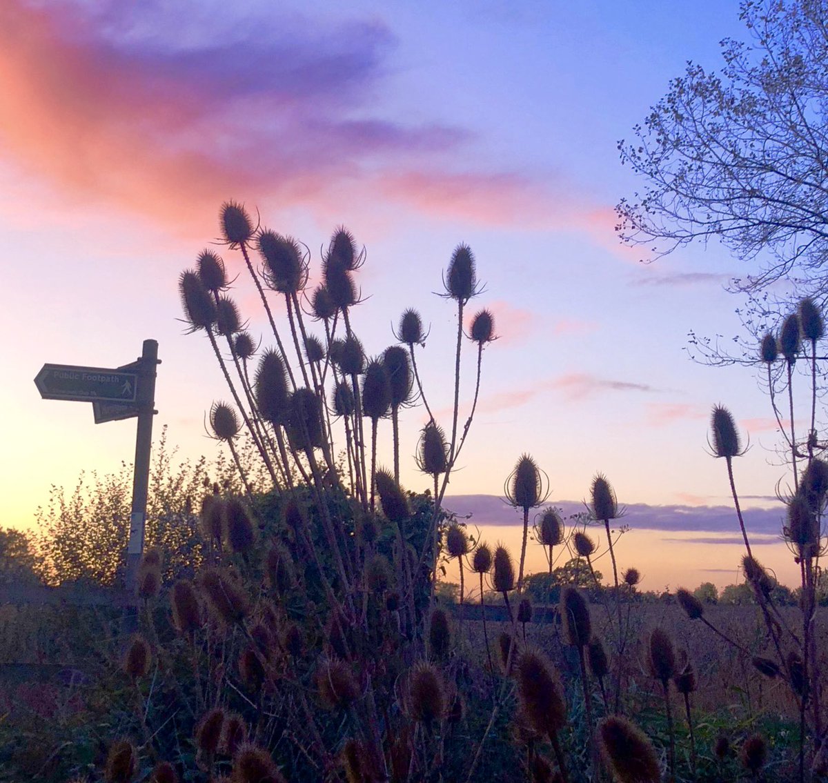 Emma Mitchell 💙 tweet media