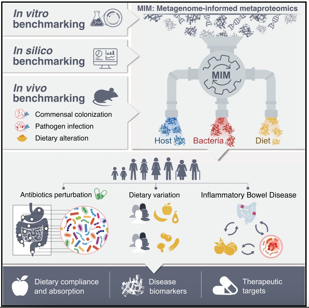 Our study is out in Cell!
Presenting a new way of analyzing gut proteins originating from  diet, microbiome, and host. <a href="/Elinav_Lab/">ElinavLab</a>  <a href="/EranElinav/">Eran Elinav</a> <a href="/rvaldesmas/">Rafael Valdés</a> 
authors.elsevier.com/c/1kTSbL7PXqS-O