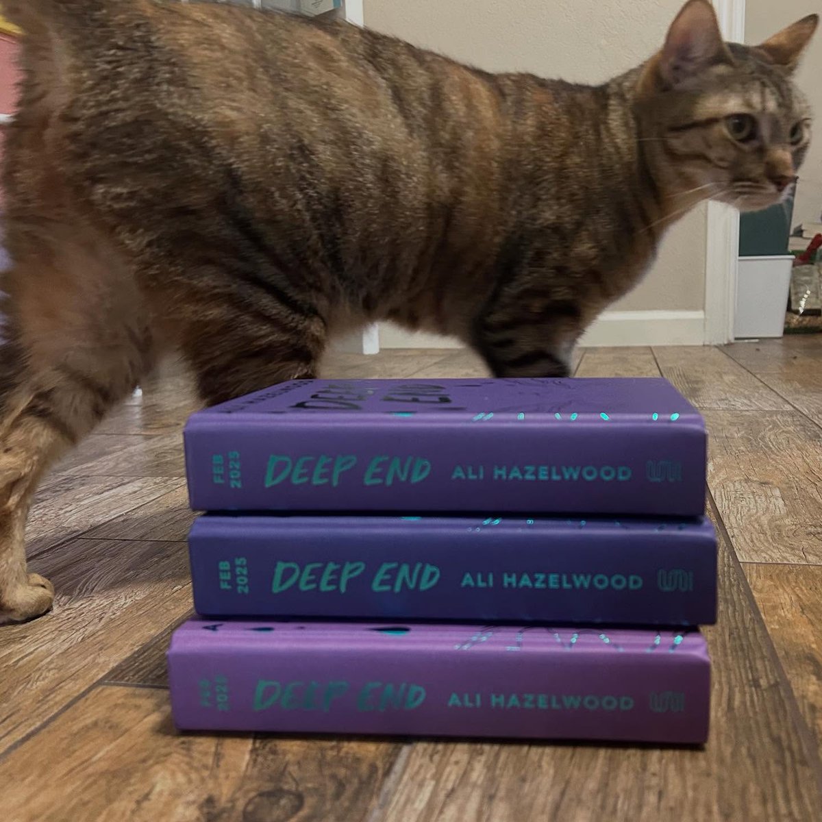 AliiHazelwood's tweet photo. Deep End is out February 4, and I just have to say a huge thank you to my UK publisher for those gorgeous hardcover ARCs! I also wrapped up a passion project draft and am excited for upcoming events with amazing authors. Hope to see you there!
 #romancenovels #Romance https://t.co/sk10baBCcb