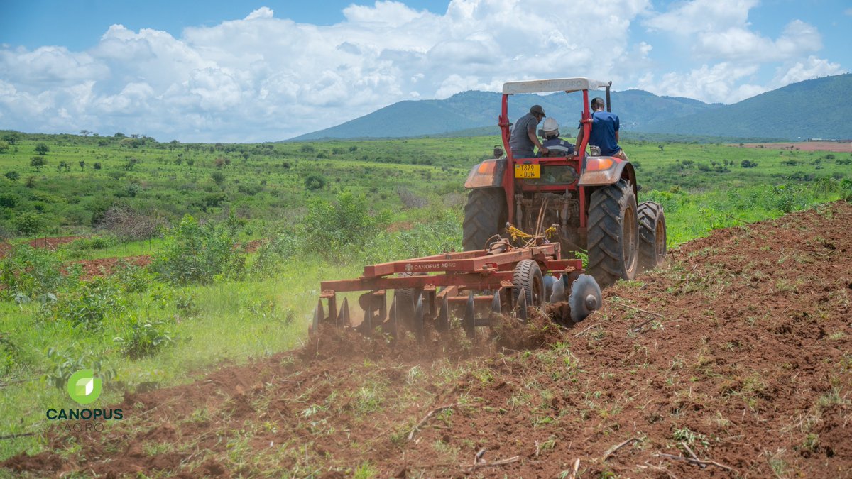 CanopusAgro's tweet photo. Je wewe ni mkulima na unahitaji kupata zana bora za kilimo? Katika msimu huu wa kilimo, Kampuni ya Canopus Agro tumekuletea zana za kisasa yakiwemo matrekta na mashine za kupandia mbegu za aina mbalimbali. 

Chagua @CanopusAgro kwa zana bora za kisasa na kwa bei nafuu. https://t.co/XgE2skbVfv