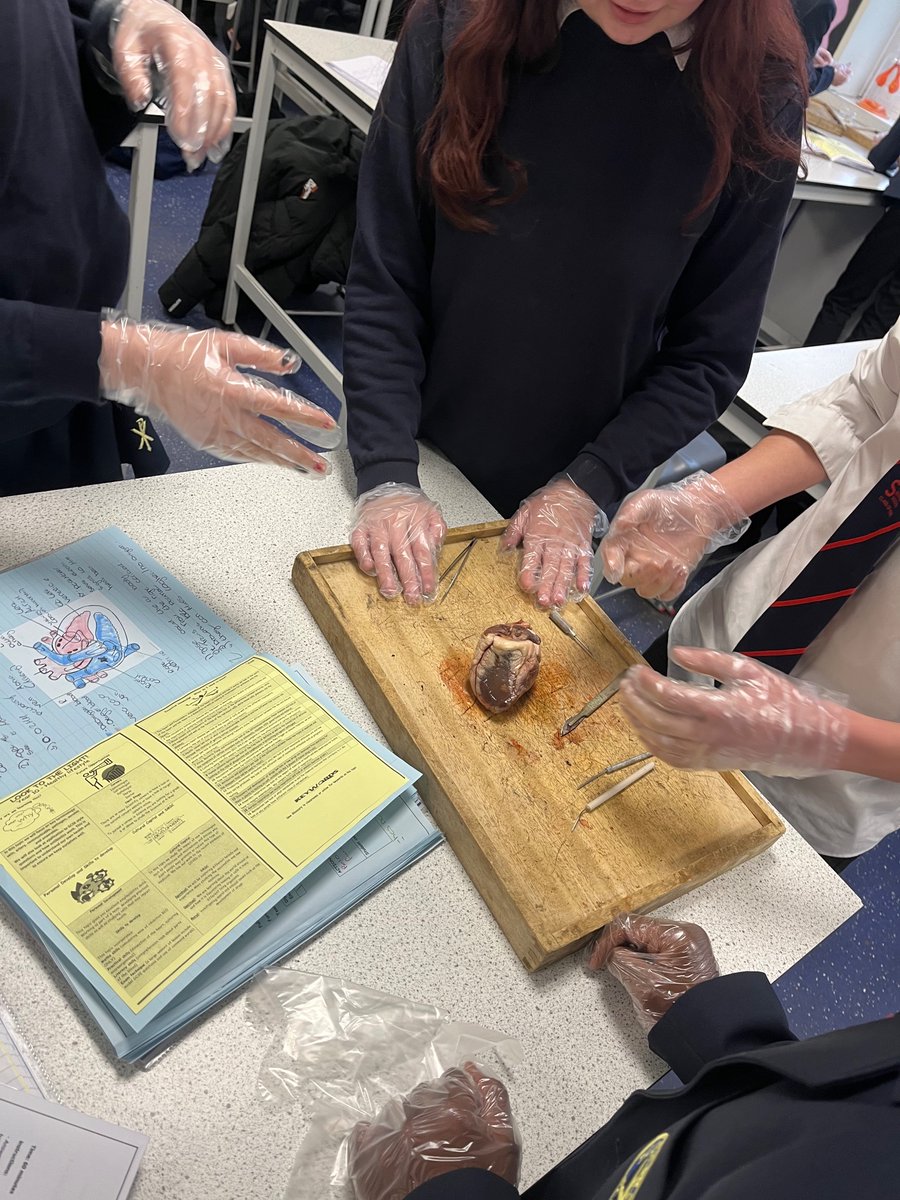 St Gabriel’s Science tweet media