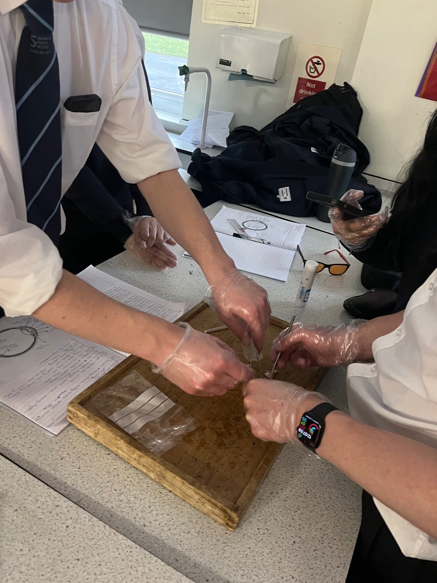 St Gabriel’s Science tweet media