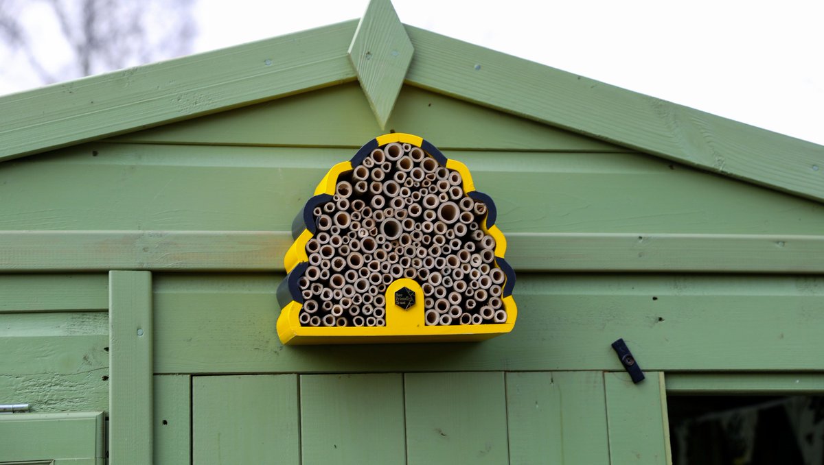 Lower School pupils were excited to receive a free bee hotel from the Bee Friendly Trust, which has been placed in the Little Roots allotment, ready for bees to start using once the weather warms up! 🐝🐝🐝

Find out more about the Bee Friendly Trust here: tinyurl.com/3frbepes