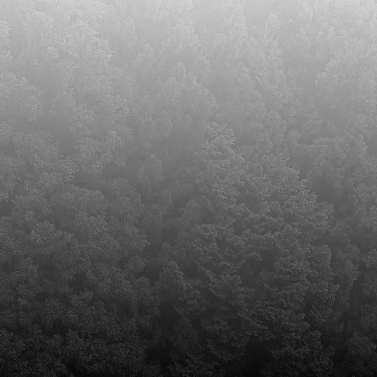 littlepad tweet media