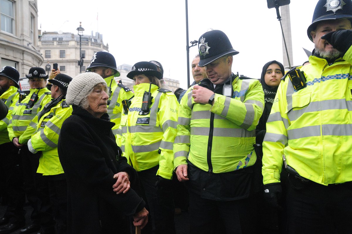 Lisa Trainer tweet media