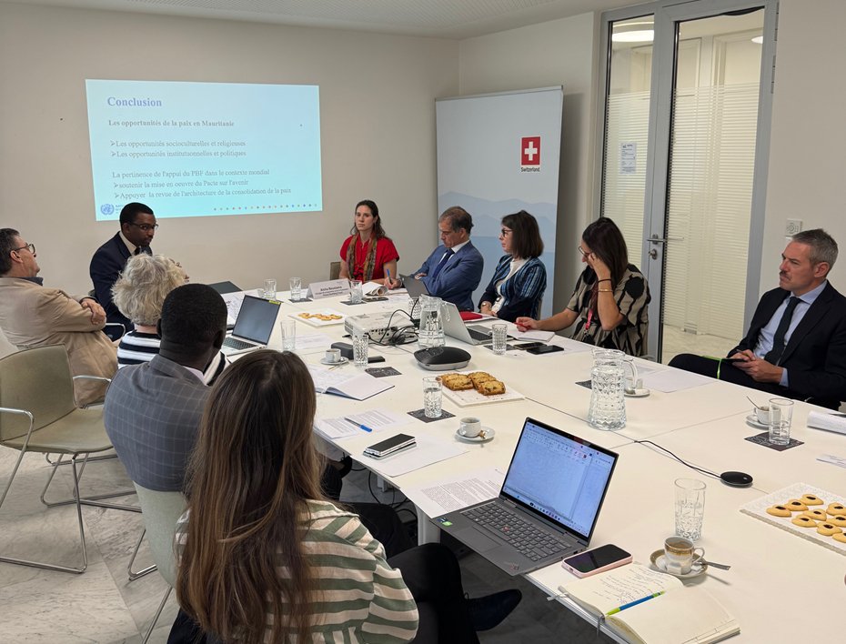 🇺🇳 L’Ambassade de Suisse🇨🇭a organisé une rencontre avec l’équipe du Fonds pour la consolidation de la Paix des Nations Unies basé en Mauritanie. Contexte socio-économique, politique, perspectives et défis futurs étaient au cœur des discussions.