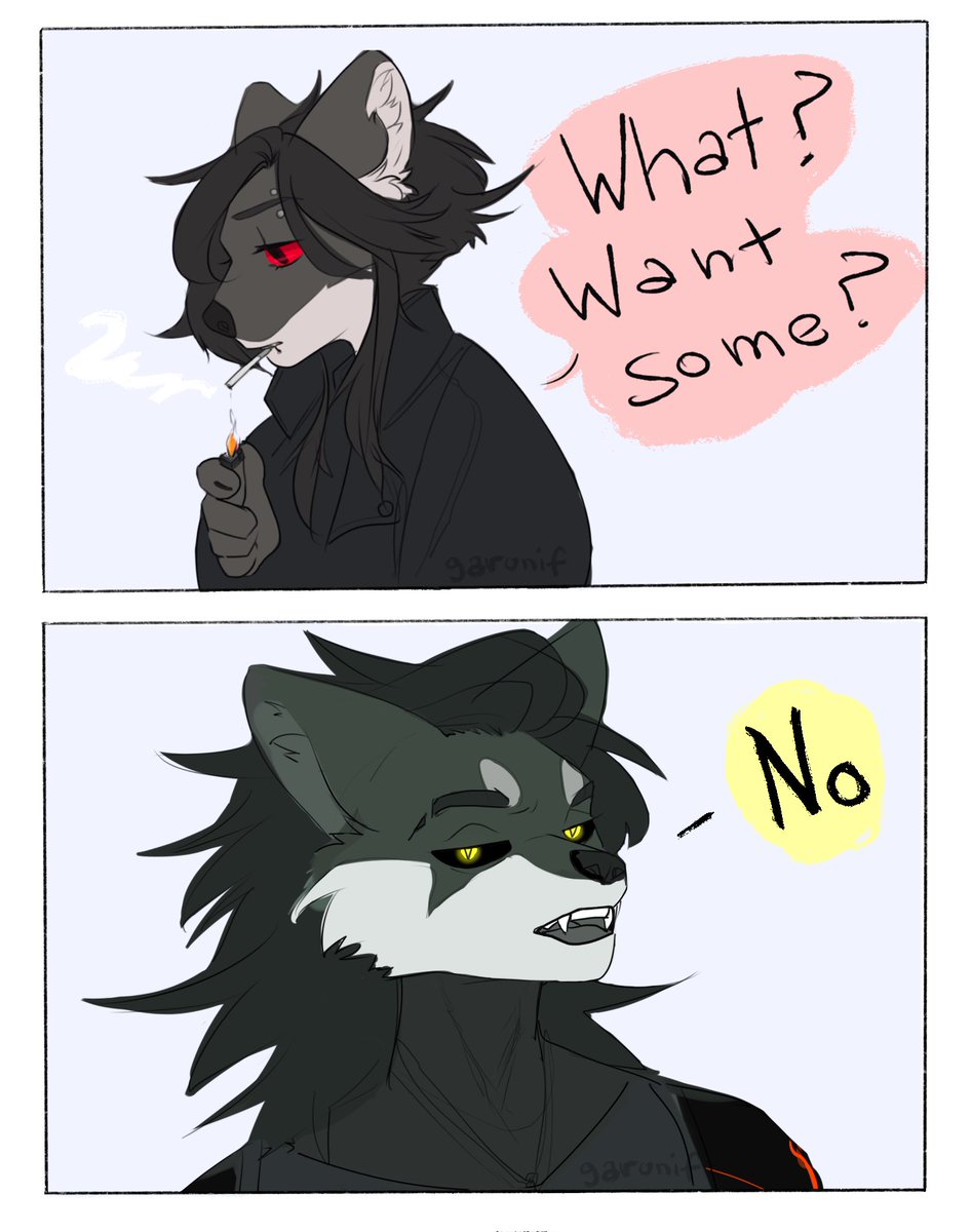 garunifART's tweet photo. My silly comic~

Ray and Garifa vibe

#weasel #fursona #oc #wolf #canine #hyena #comic #furry https://t.co/pvnLL3I1Re