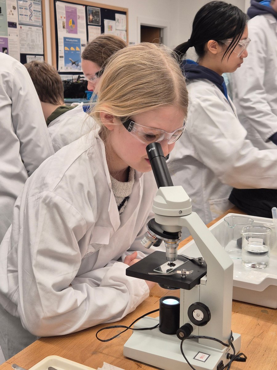 KingsCanterbury's tweet image. Pupils became detectives in this week's Saturday Smarties event, using forensic techniques like chromatography, soil sampling, and fingerprint analysis to solve the mystery of Who Stole Storm? #Science #BeyondCompare #Forensics